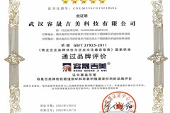 国家认证隧道维保品牌，一家民企如何做到？